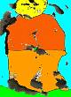 il_papa_color.jpg